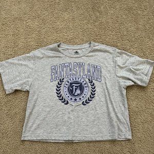 Gray Fantasyland Crop T-Shirt from Disney Parks Size Small